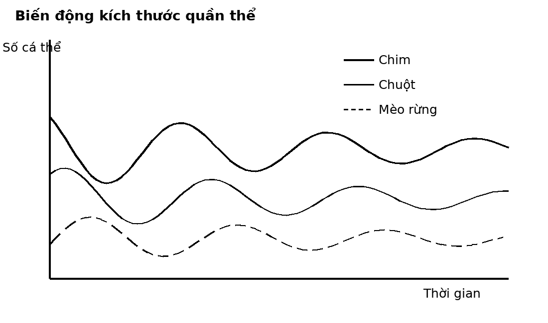 Đồ thị dao động theo thời gian của ba quần thể ở các bậc dinh dưỡng khác nhau.