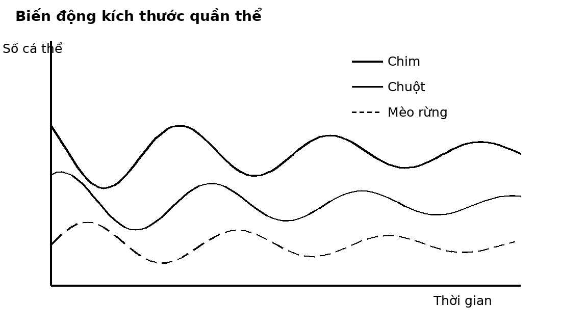 Đồ thị dao động theo thời gian của ba quần thể ở các bậc dinh dưỡng khác nhau.