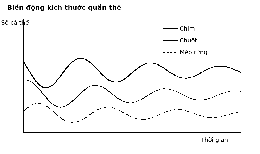 Đồ thị dao động theo thời gian của ba quần thể ở các bậc dinh dưỡng khác nhau.