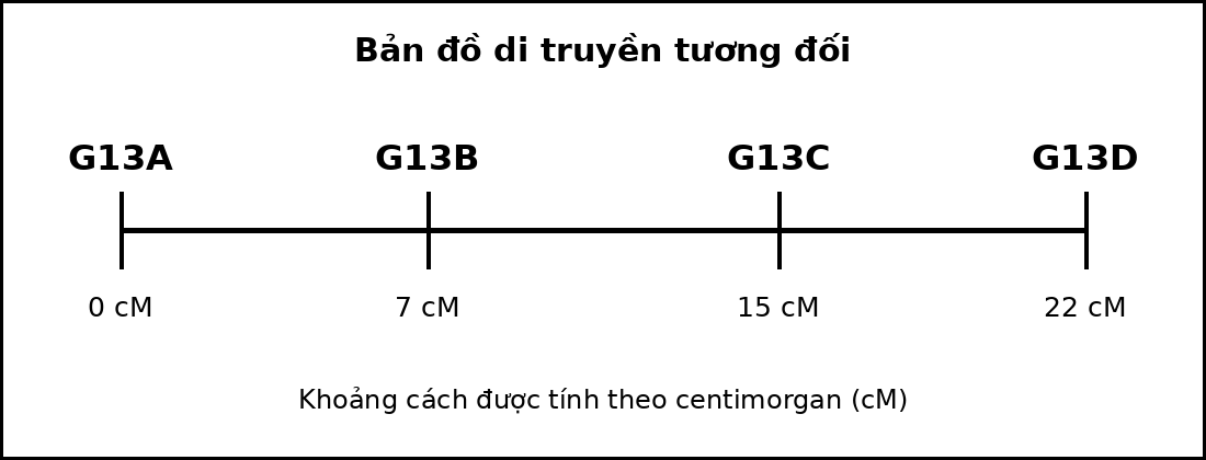 Bản đồ di truyền gồm bốn gene nằm trên cùng một nhiễm sắc thể với các vị trí tính theo cM.