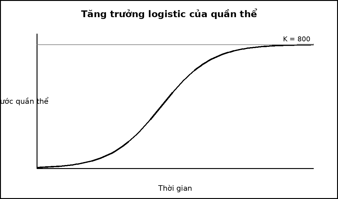 Đồ thị tăng trưởng quần thể dạng chữ S tiến gần đường sức chứa môi trường K.