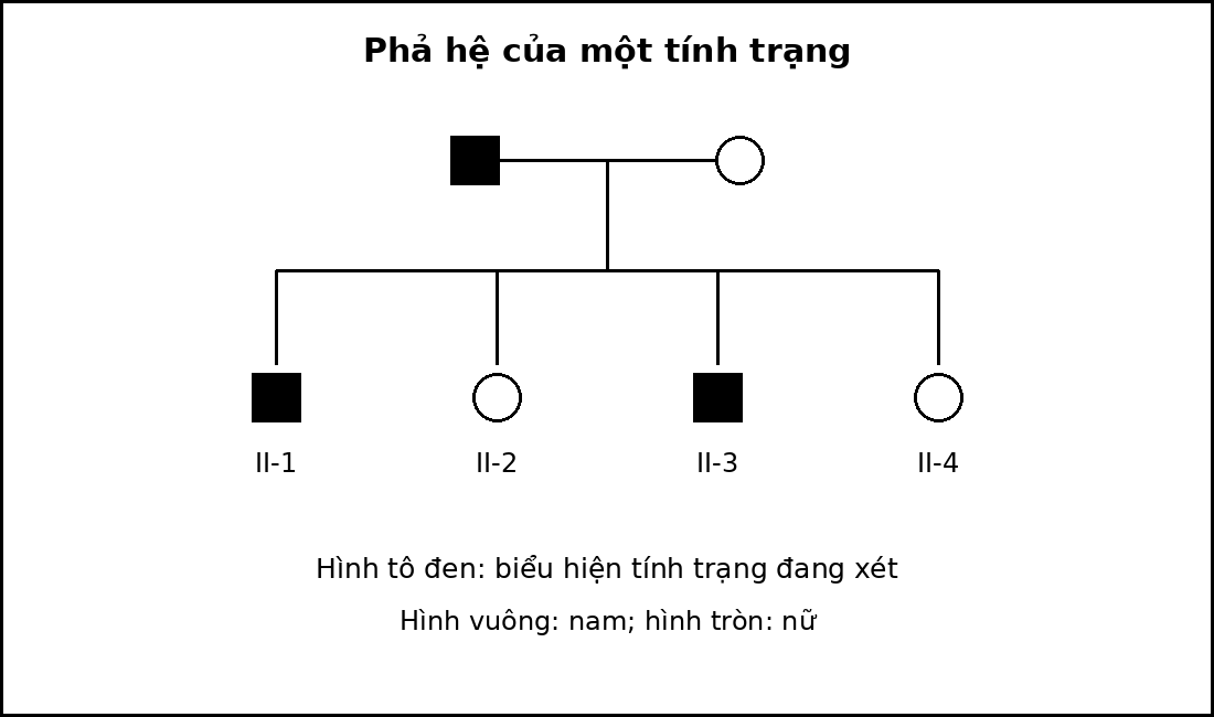 Phả hệ hai thế hệ với nam là hình vuông, nữ là hình tròn và cá thể biểu hiện tính trạng được tô đen.