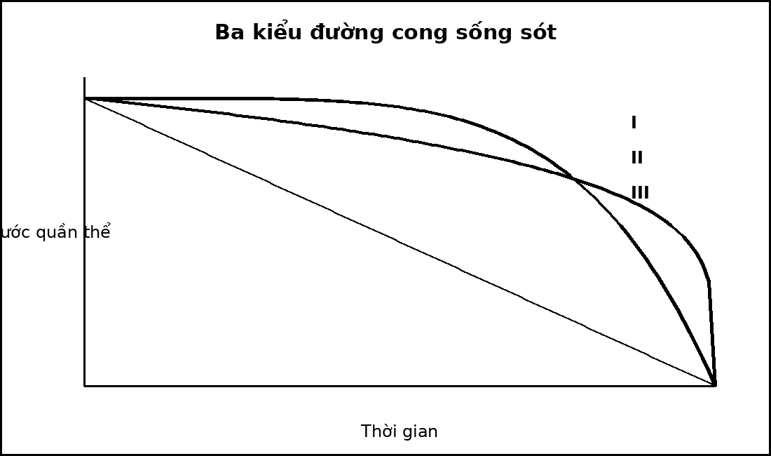 Ba đường cong sống sót loại I, II và III trên cùng hệ trục.