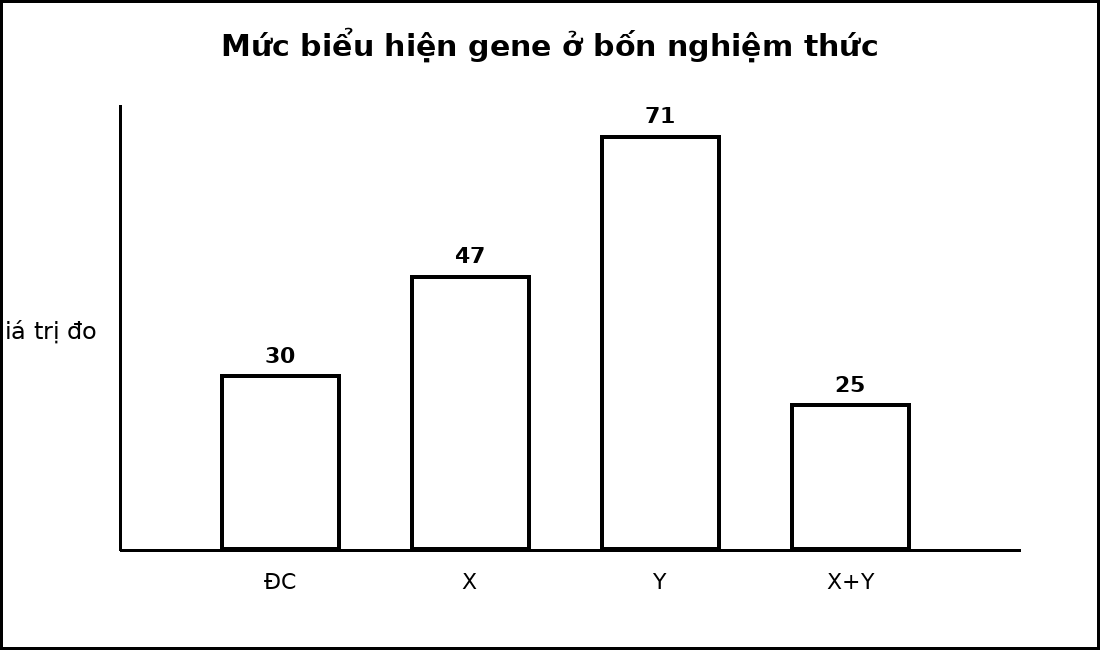 Biểu đồ cột mức biểu hiện gene ở nhóm đối chứng và ba nghiệm thức X, Y, X kết hợp Y.