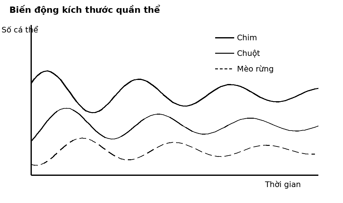 Đồ thị dao động theo thời gian của ba quần thể ở các bậc dinh dưỡng khác nhau.