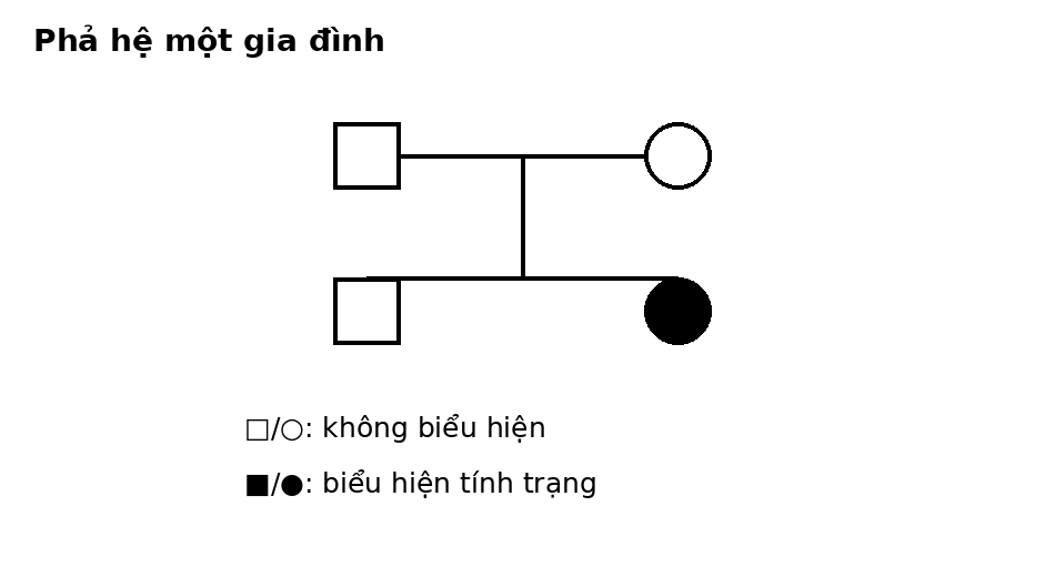 Phả hệ gồm bố mẹ không biểu hiện và hai con, trong đó một con gái biểu hiện tính trạng.
