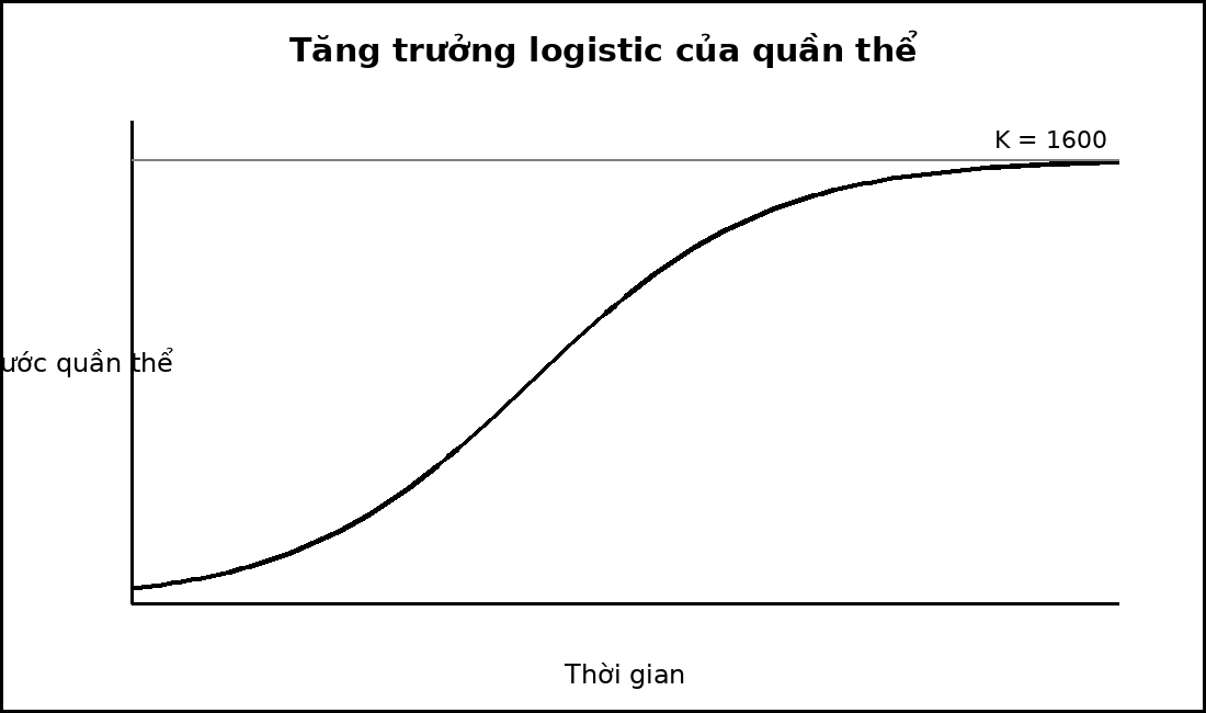 Đồ thị tăng trưởng quần thể dạng chữ S tiến gần đường sức chứa môi trường K.
