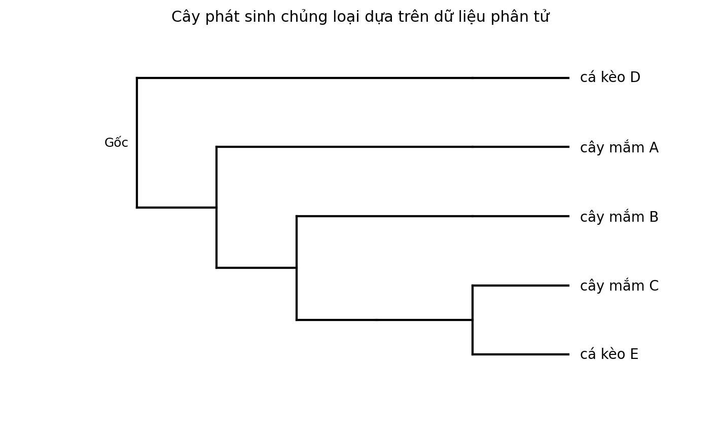 Cây phát sinh chủng loại gồm năm đơn vị phân loại với một nhóm ngoại.