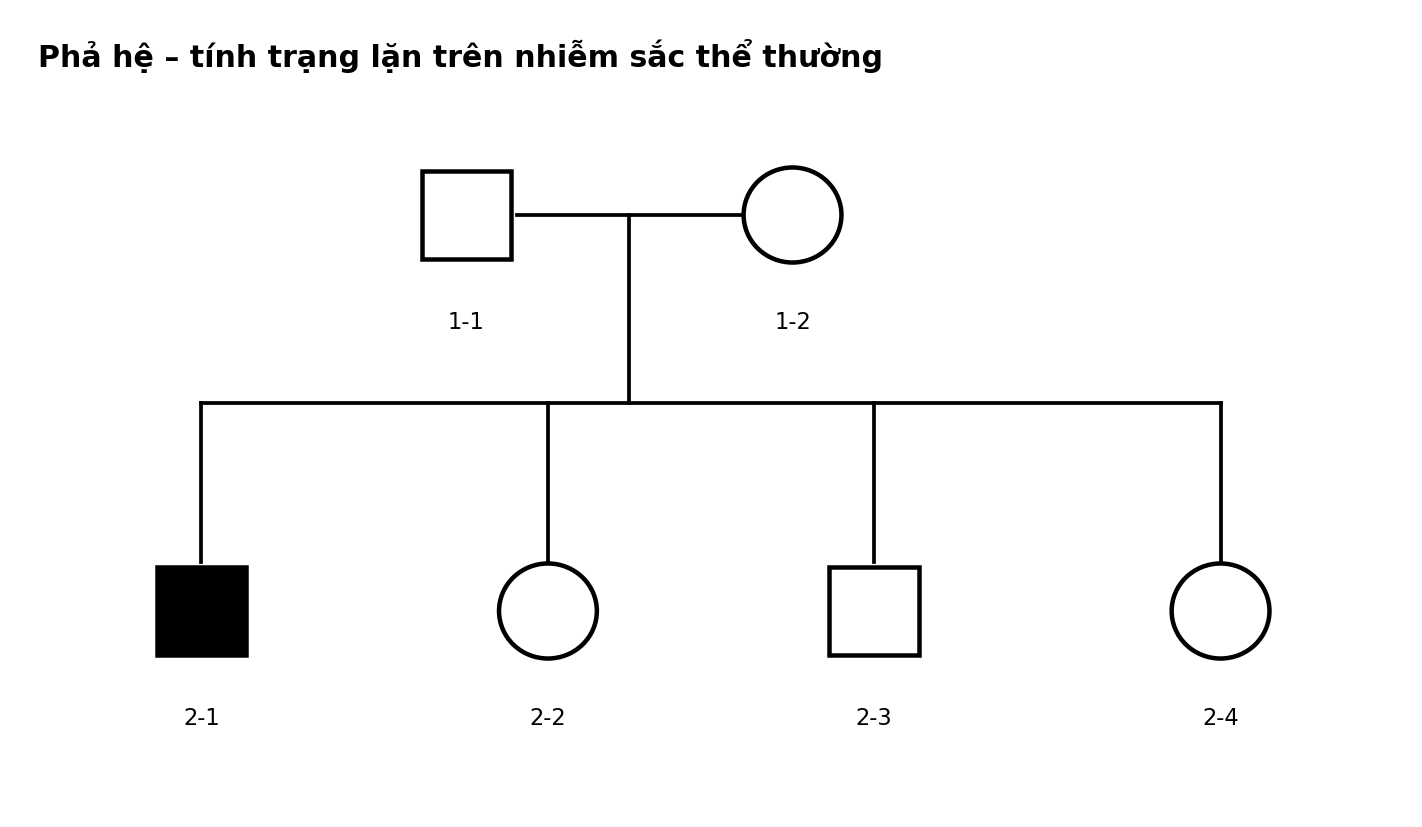 Phả hệ hai thế hệ với các cá thể nam nữ và trạng thái biểu hiện tính trạng.