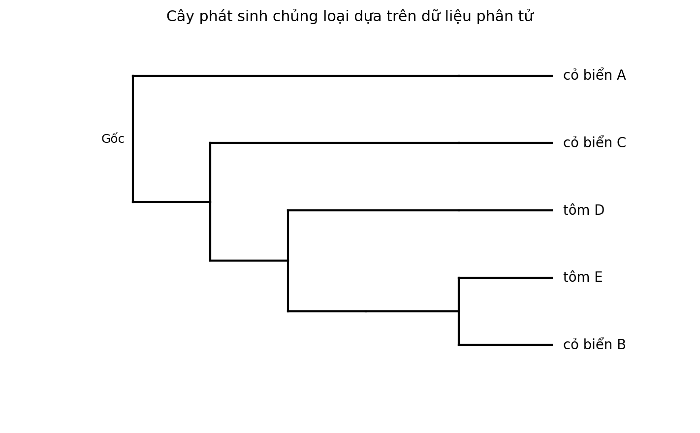 Cây phát sinh chủng loại gồm năm đơn vị phân loại với một nhóm ngoại.
