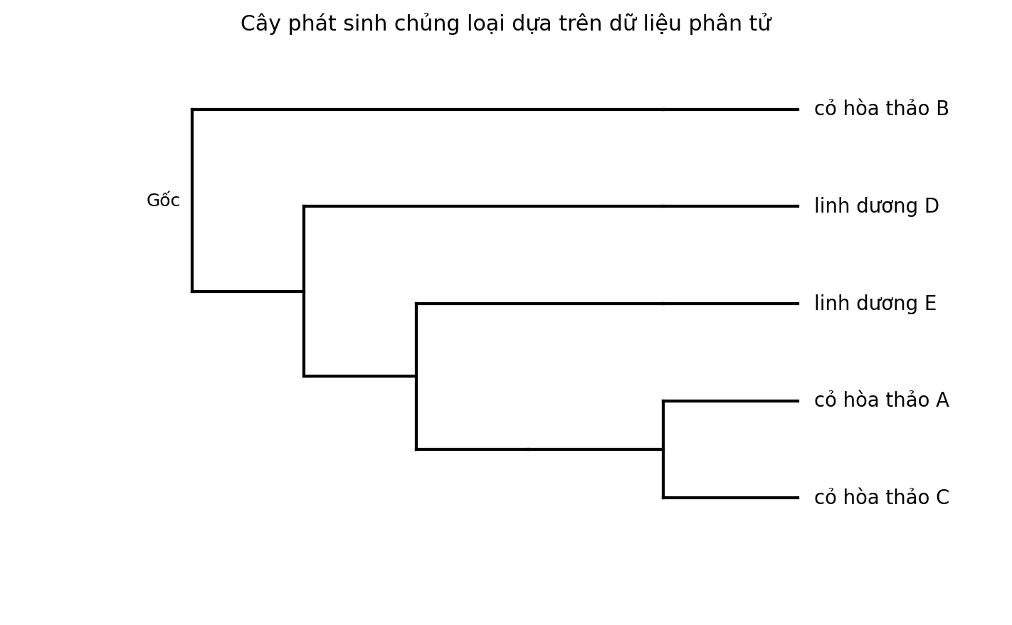 Cây phát sinh chủng loại gồm năm đơn vị phân loại với một nhóm ngoại.