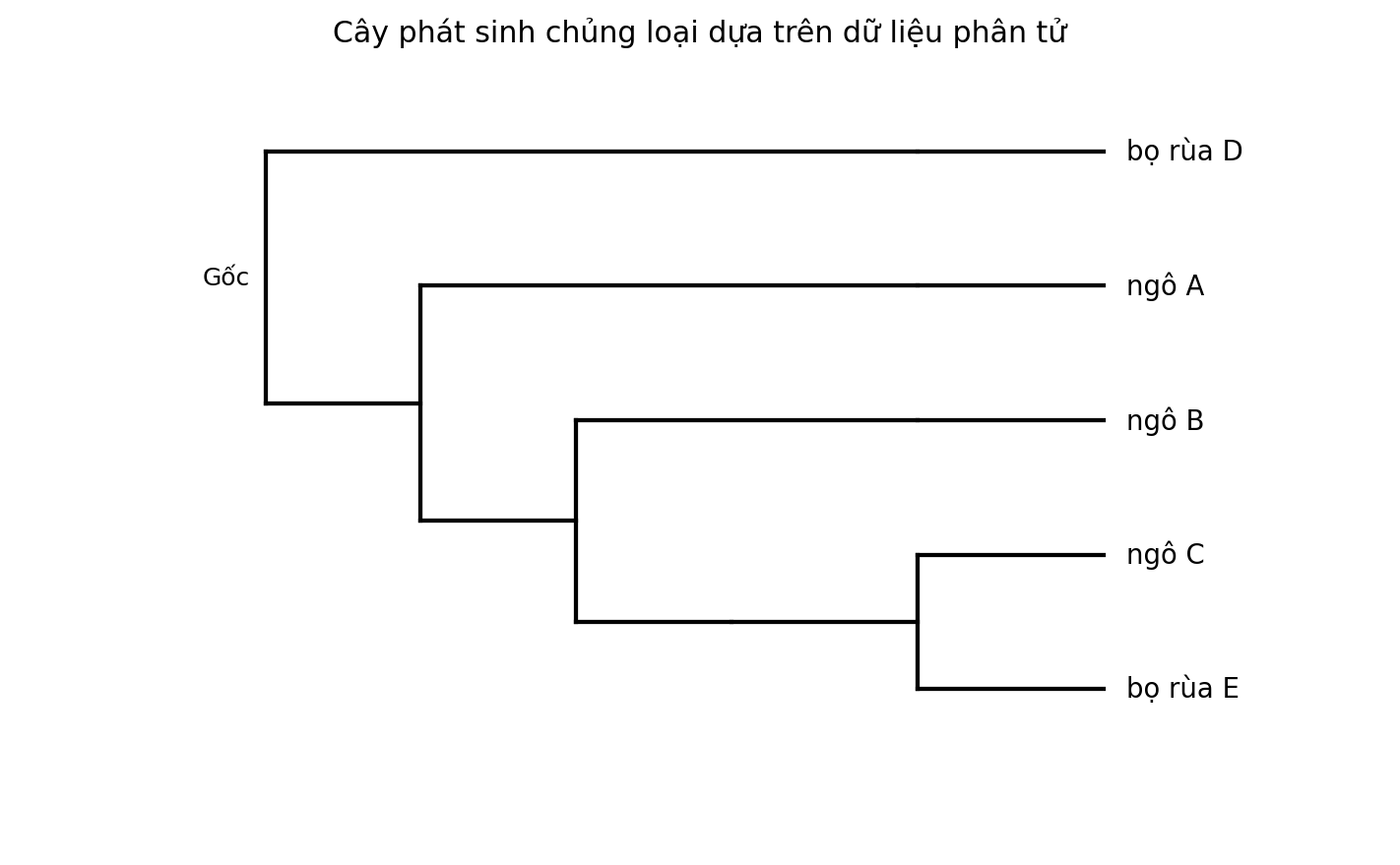 Cây phát sinh chủng loại gồm năm đơn vị phân loại với một nhóm ngoại.