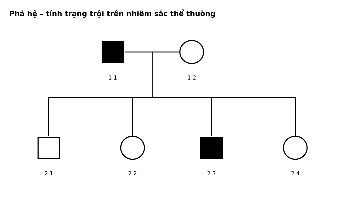 Phả hệ hai thế hệ với các cá thể nam nữ và trạng thái biểu hiện tính trạng.