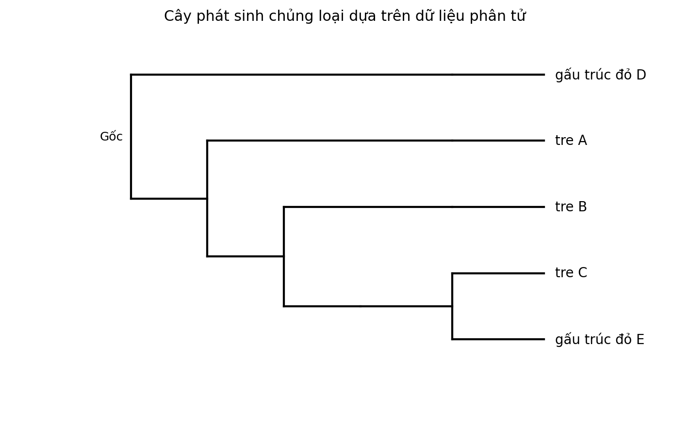 Cây phát sinh chủng loại gồm năm đơn vị phân loại với một nhóm ngoại.