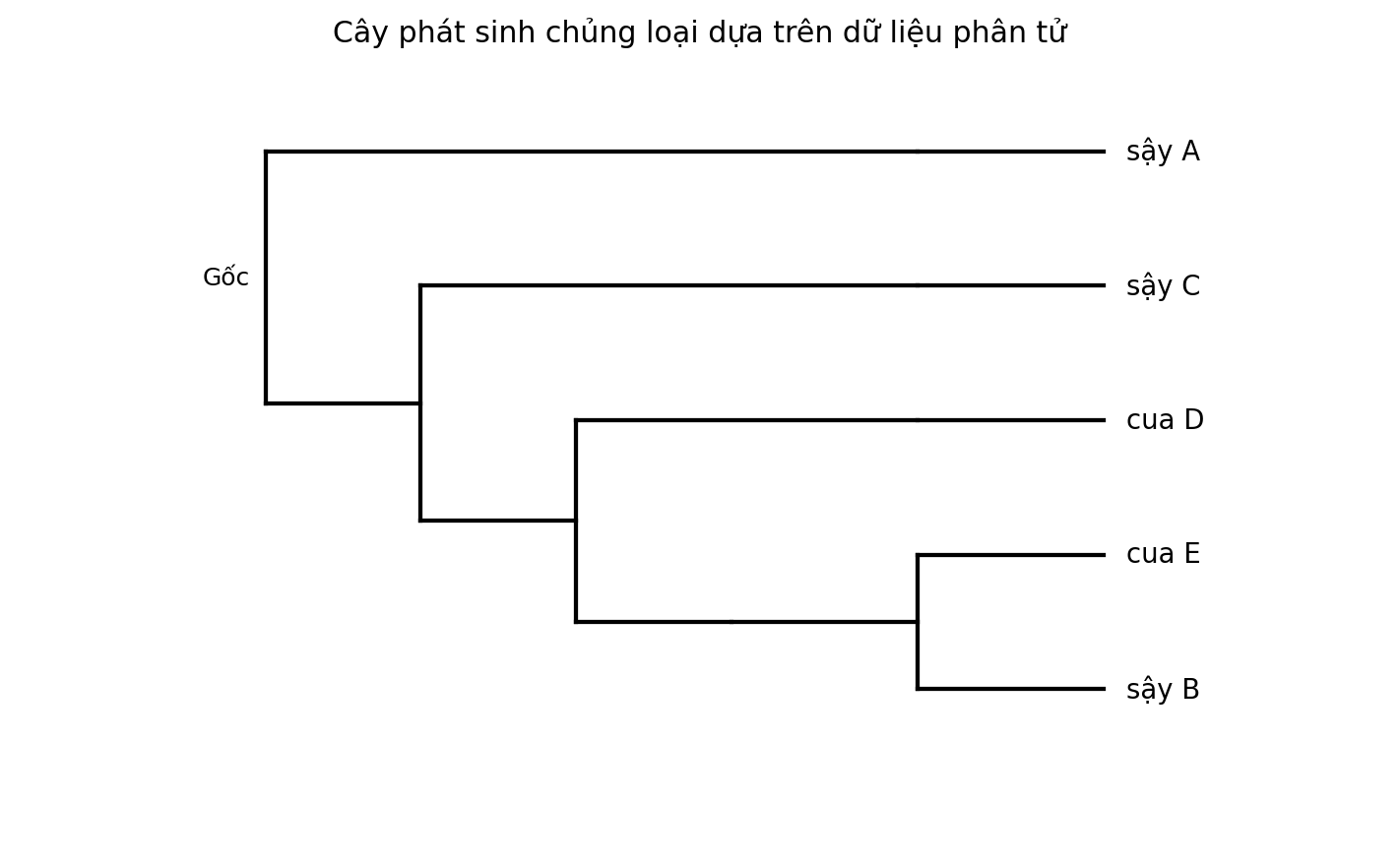 Cây phát sinh chủng loại gồm năm đơn vị phân loại với một nhóm ngoại.