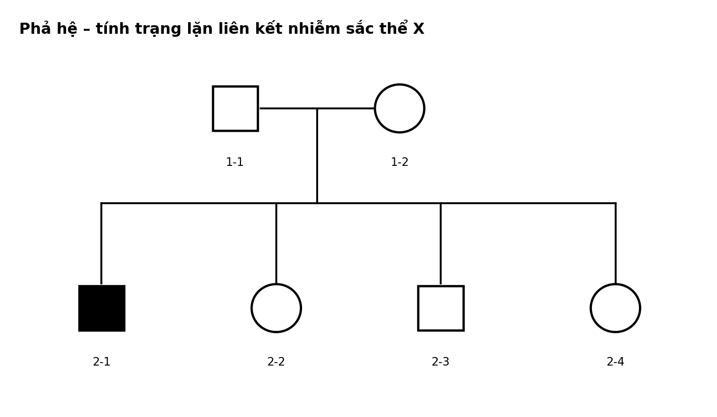 Phả hệ hai thế hệ với các cá thể nam nữ và trạng thái biểu hiện tính trạng.