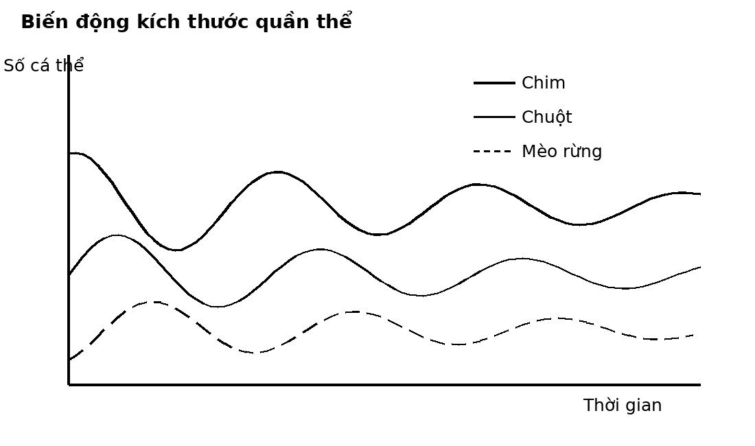 Đồ thị dao động theo thời gian của ba quần thể ở các bậc dinh dưỡng khác nhau.