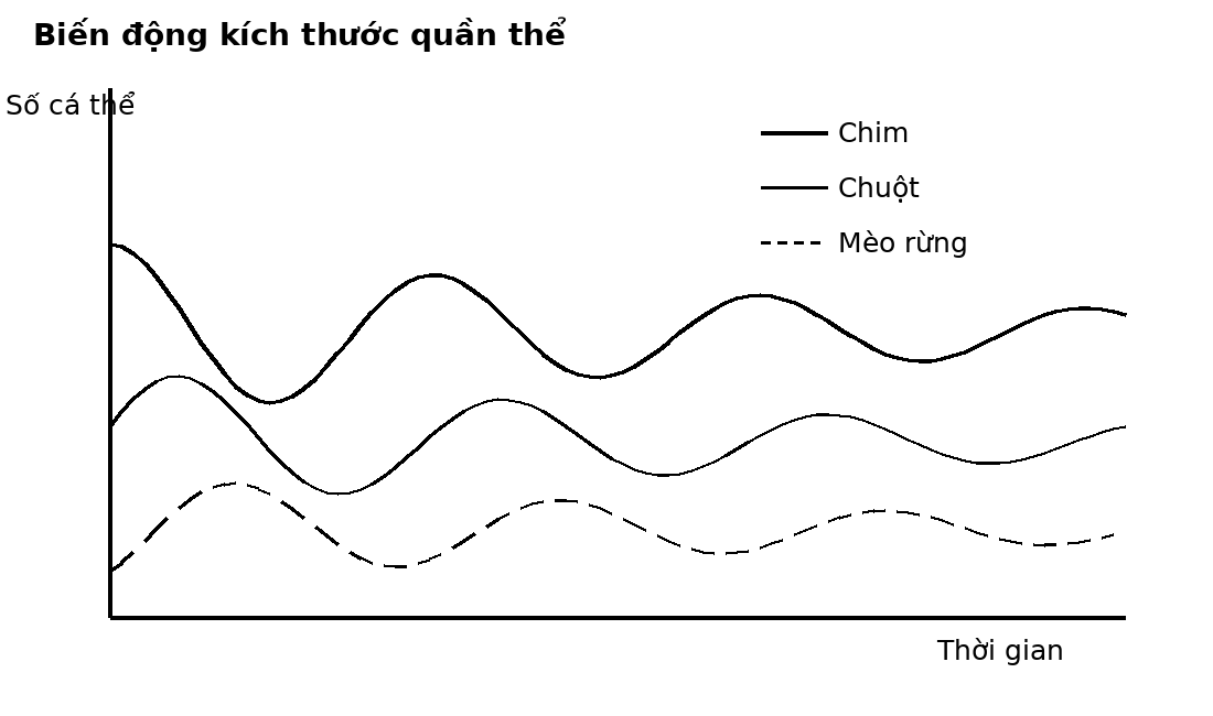 Đồ thị dao động theo thời gian của ba quần thể ở các bậc dinh dưỡng khác nhau.