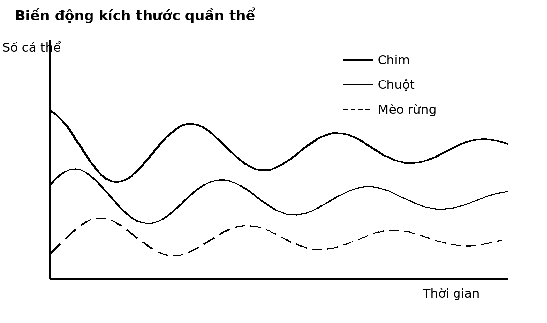 Đồ thị dao động theo thời gian của ba quần thể ở các bậc dinh dưỡng khác nhau.