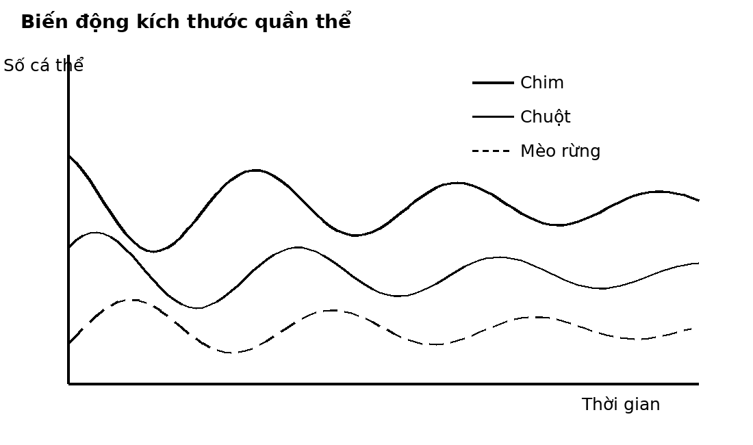 Đồ thị dao động theo thời gian của ba quần thể ở các bậc dinh dưỡng khác nhau.